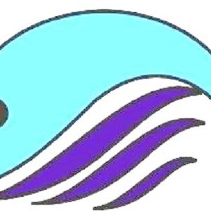 کنارک صید ساحل
